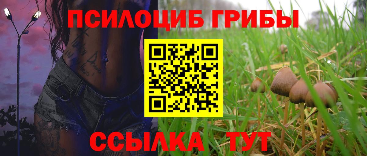 где можно купить наркотик  Галлюциногенные грибы GOLDEN TEACHER  Кириши  Вход с VPN  Галлюциногенные грибы мицелий 