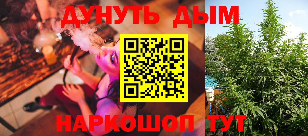 Бошки марихуана Amnesia  Бошки марихуана тримм  Марихуана Amnesia  Кириши  Вход с VPN  Бошки марихуана гибрид 